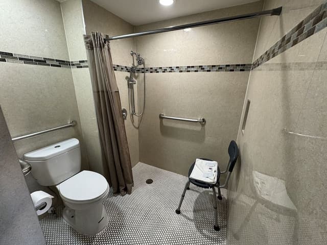 Standard Room, 2 Double Beds, Accessible, Non Smoking