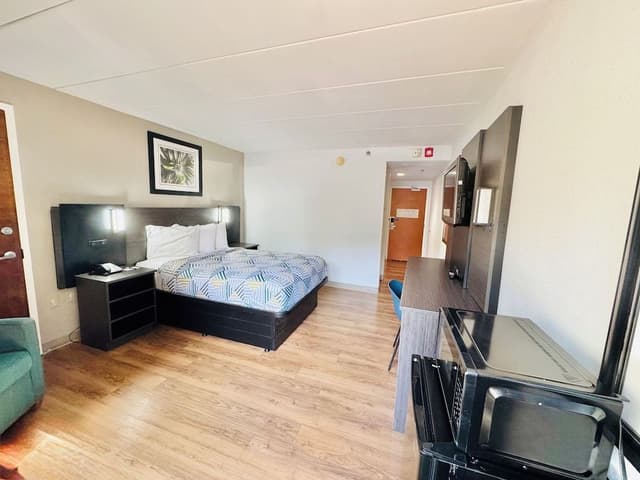 Standard Room, 1 Double Bed, Accessible, Non Smoking