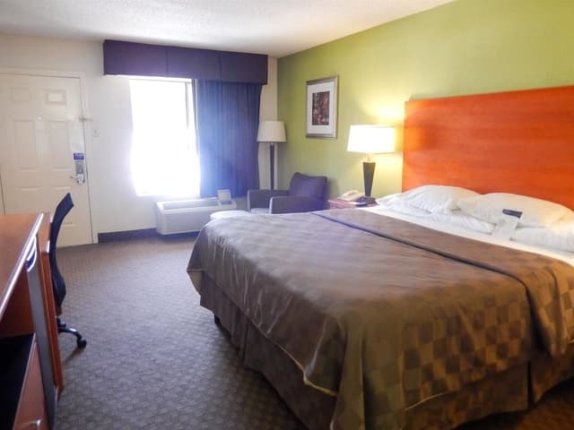 Deluxe Room, 1 King Bed, Smoking, Refrigerator & Microwave