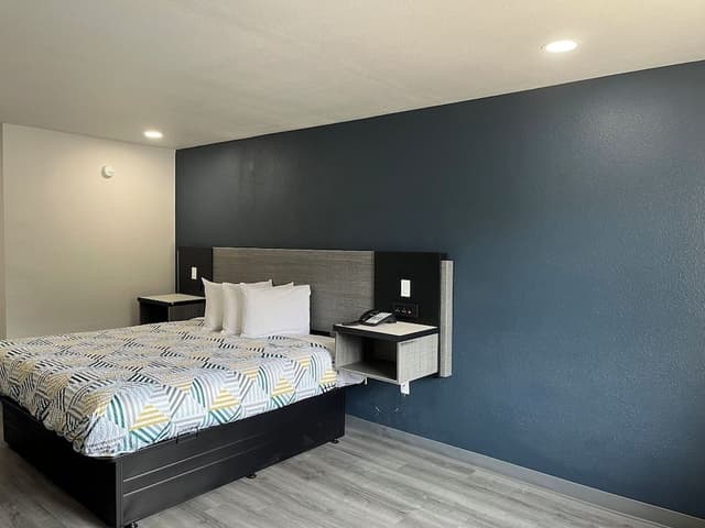 Deluxe Room, 1 King Bed, Non Smoking, Refrigerator & Microwave