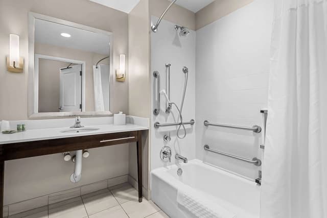 Standard Room, 1 King Bed with Sofa bed, Accessible, Bathtub (with Sofabed)
