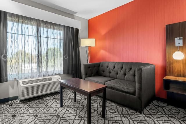Standard Room, 1 King Bed with Sofa bed, Accessible, Bathtub (with Sofabed)