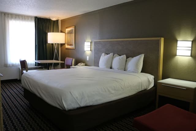 Room, 1 King Bed, Accessible, Non Smoking
