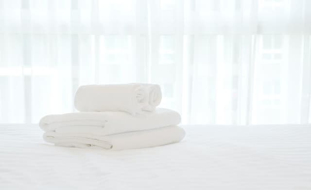 No cleaning service Deluxe Suite(Non-Smoking)