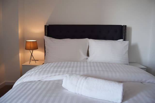 Apartment, Private Bathroom (2 bed Deluxe apartment )