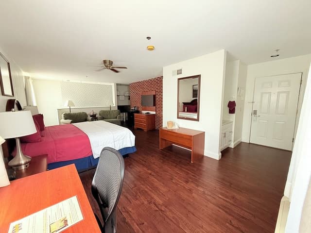 Room, Non Smoking, Super King (Pet Friendly)