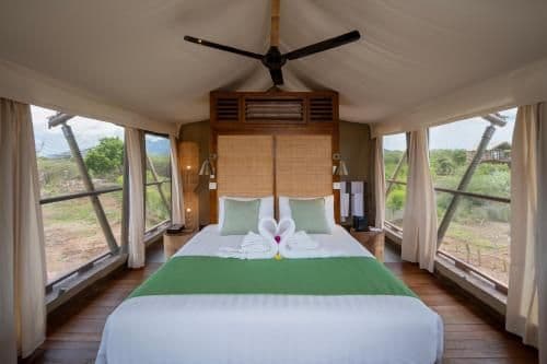 Jungle Suite
