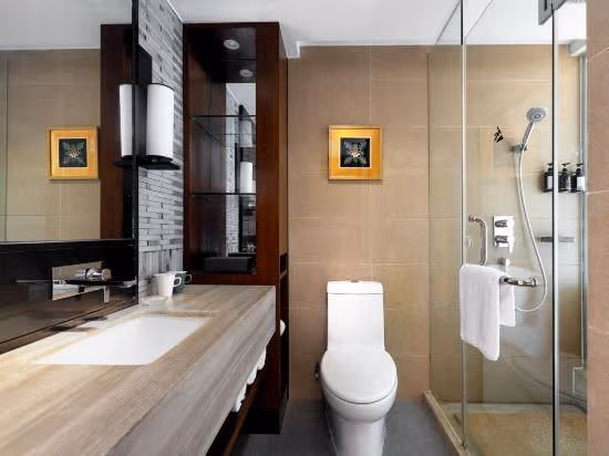 Four Seasons City Room (2 beds)