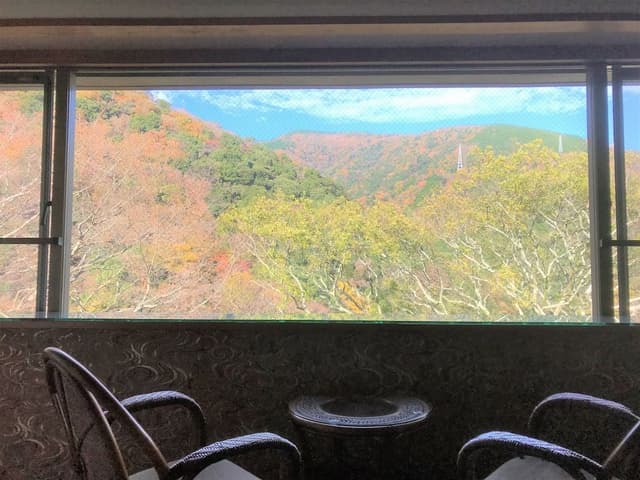 Japanese Ensuite Room, Mountain View