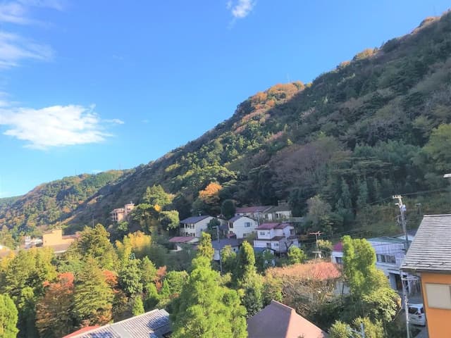 Japanese Ensuite Room, Mountain View