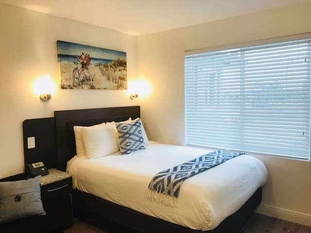 Exclusive Suite 2: 1 Queen, 1 King, 1 Futon