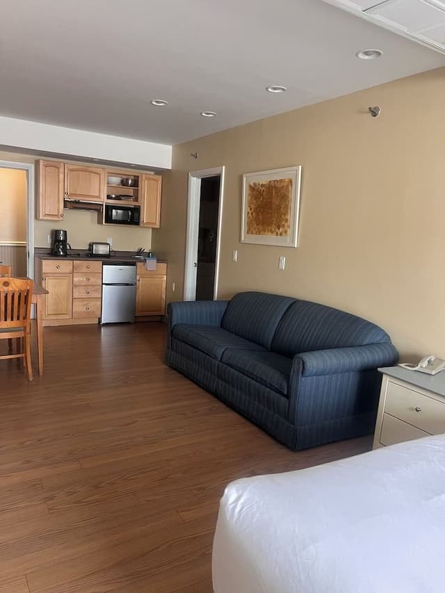 Basic Studio Suite, 1 King Bed
