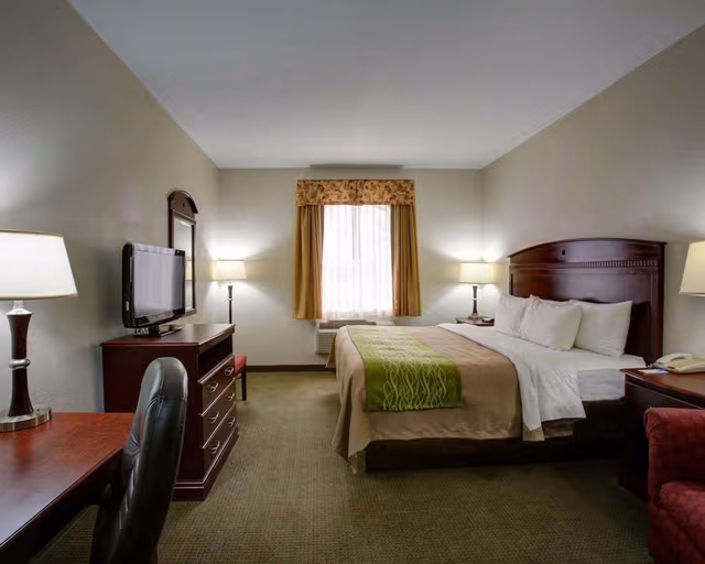 Standard Room, 1 King Bed, Non Smoking