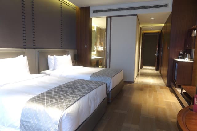 Deluxe Twin Room