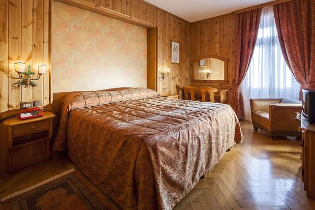 Superior Double or Twin Room