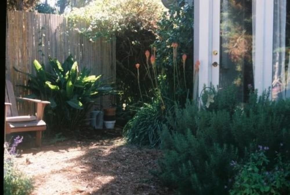 Dreydon House Bed and Breakfast2