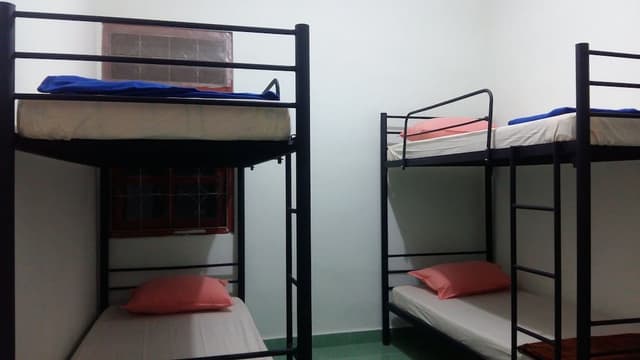 Shared Dormitory, Mixed Dorm (Fan)