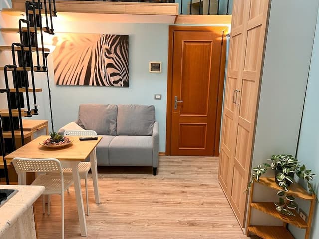 Junior Studio Suite