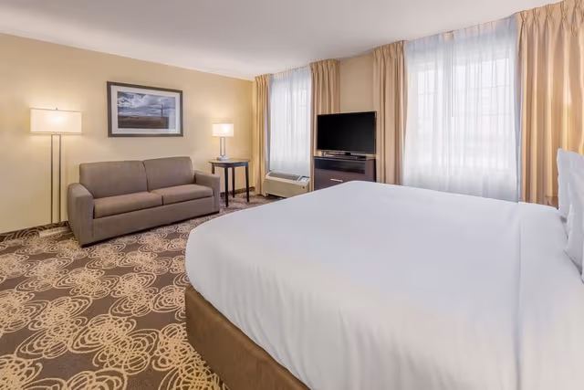 Deluxe Single Room, 1 King Bed with Sofa bed