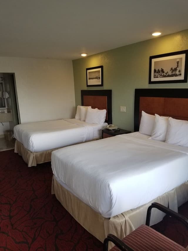 Standard Room, 2 Double Beds, Non Smoking
