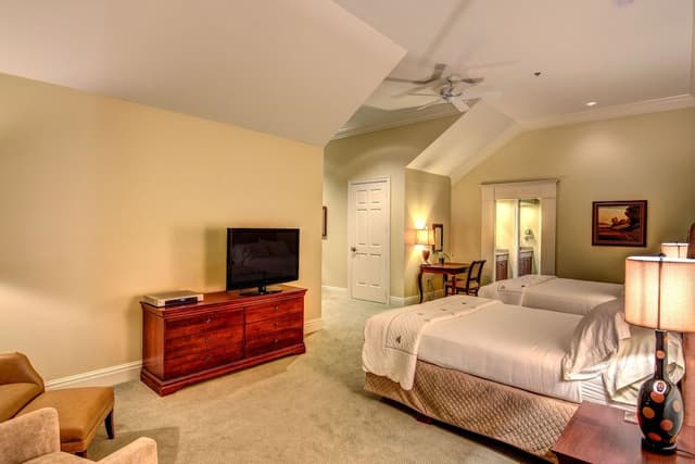 Luxury Suite