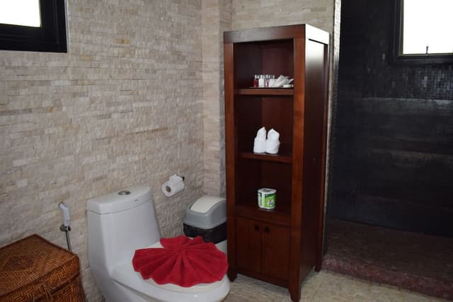 Suite Premium
