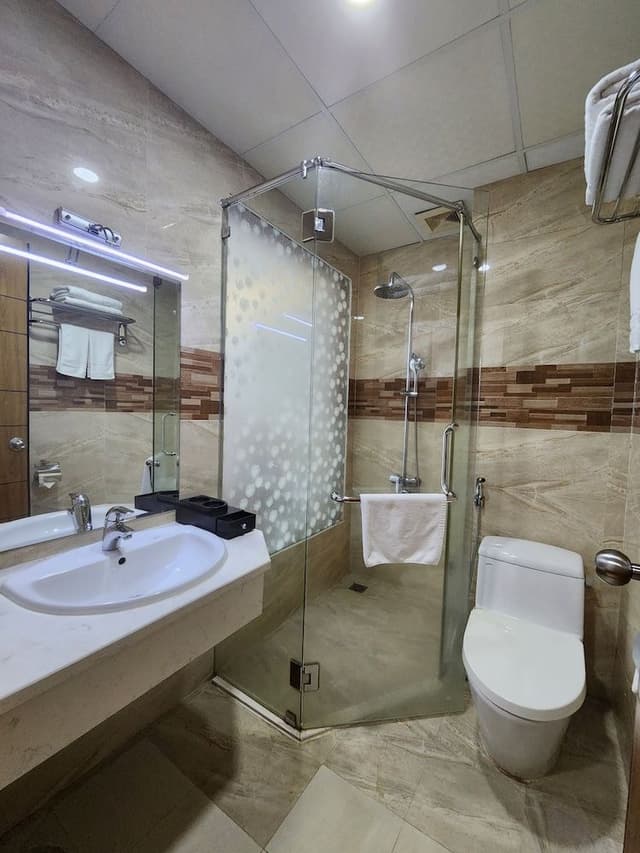 Deluxe Double or Twin Room, City View