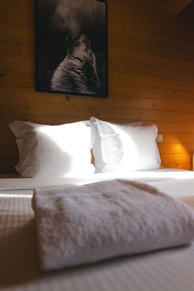Room, Mountain View, Mountainside