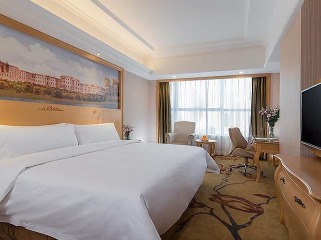 Vienna - Deluxe Room