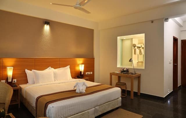 Deluxe Double or Twin Room
