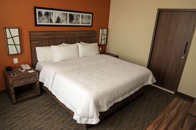 1 KING ONE BEDROOM SUITE NONSMOKING