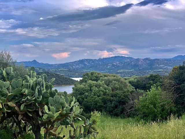 Superior Double or Twin Room, Lake View