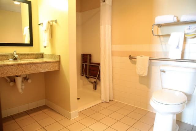 Room, 1 Queen Bed, Mobility Accessible