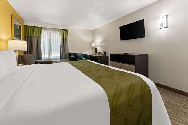 Room, 1 King Bed, Accessible, Non Smoking