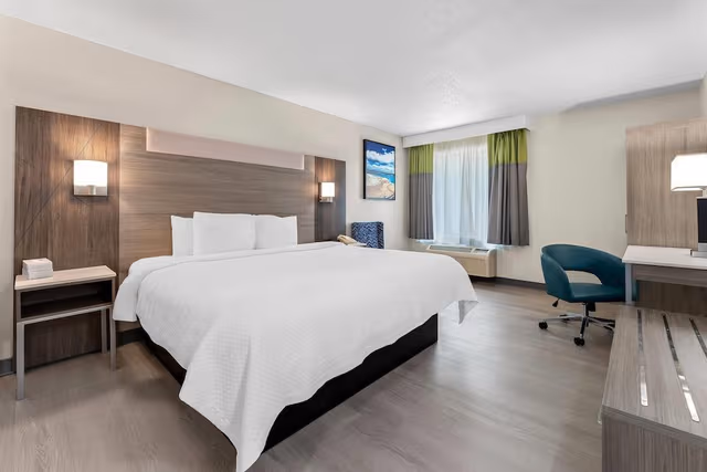 Room, 1 King Bed, Accessible, Non Smoking