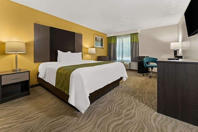 Room, 1 King Bed, Accessible, Non Smoking