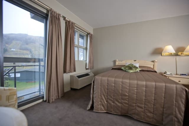Classic Room, 1 Queen Bed with Sofa bed