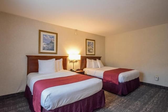 Single Room, 2 Double Beds