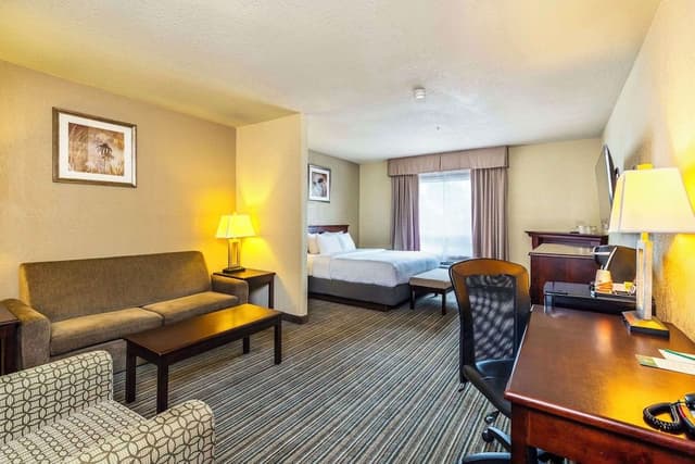Suite, 1 King Bed with Sofa bed, Non Smoking