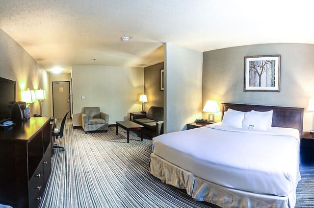 Suite, 1 King Bed with Sofa bed, Non Smoking