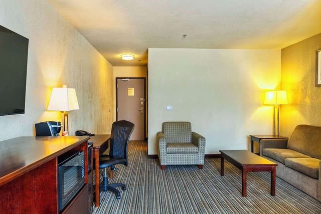 Suite, 1 King Bed with Sofa bed, Non Smoking