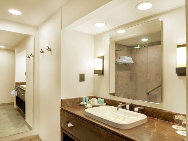 1 KING BED JUNIOR SUITE