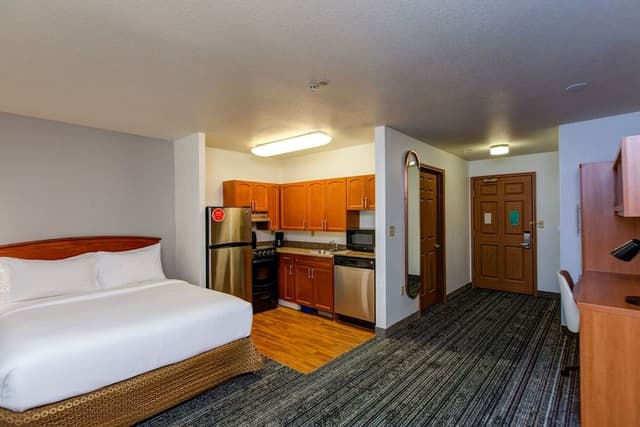 Studio, 1 Queen Bed with Sofa bed