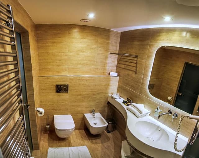 Premium Double Room with Wellness Access