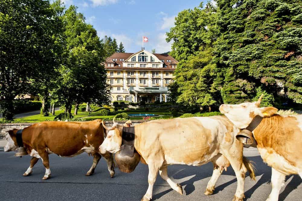 Le Grand Bellevue Le Grand Bellevue