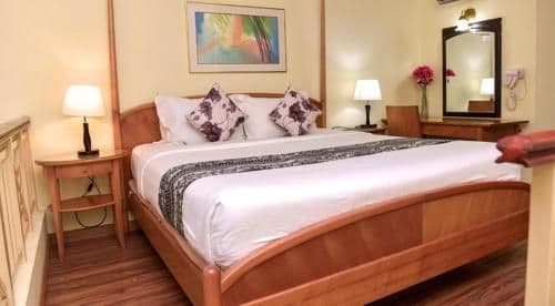 1 Bedroom Suite