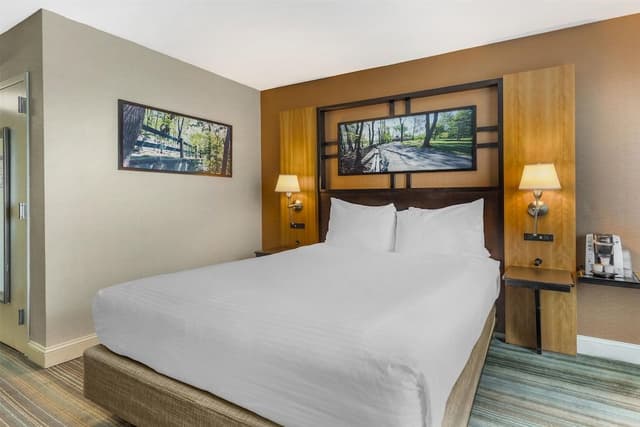 Standard Room, 1 Queen Bed, Accessible, Refrigerator & Microwave