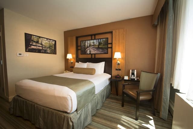 Standard Room, 1 Queen Bed, Accessible, Refrigerator & Microwave