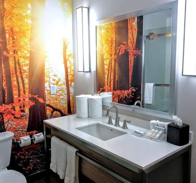 1 KING STUDIO SUITE HEARING ACCESSIBLE