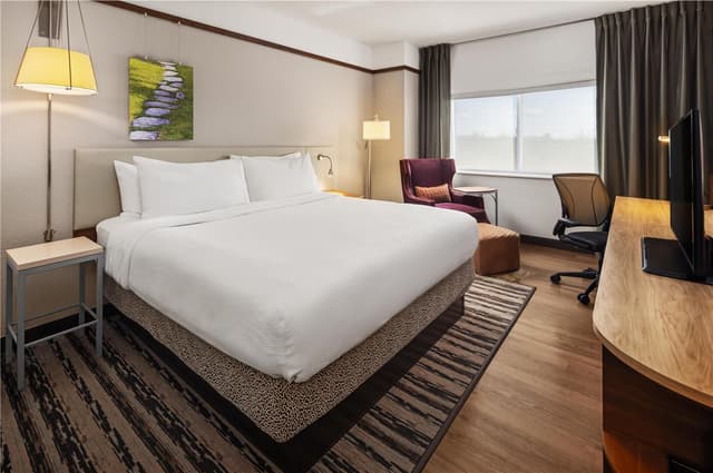 1 KING BED JUNIOR SUITE WITH SOFABED